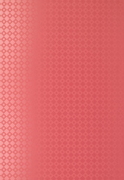 FSchumacher Wallpaper 5003232 Shake It Up Raspberry Gloss