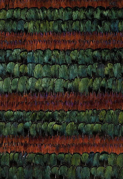 FSchumacher Wallpaper 5003890 Grand Isle Peacock & Pheasant
