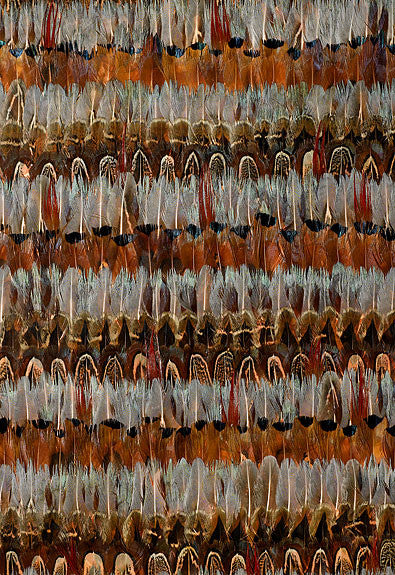 FSchumacher Wallpaper 5003900 Wildwood Jewel