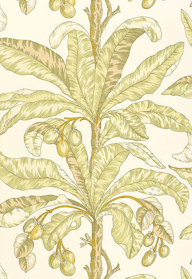 FSchumacher Wallpaper 5004062 Blair House Palm Kiwi