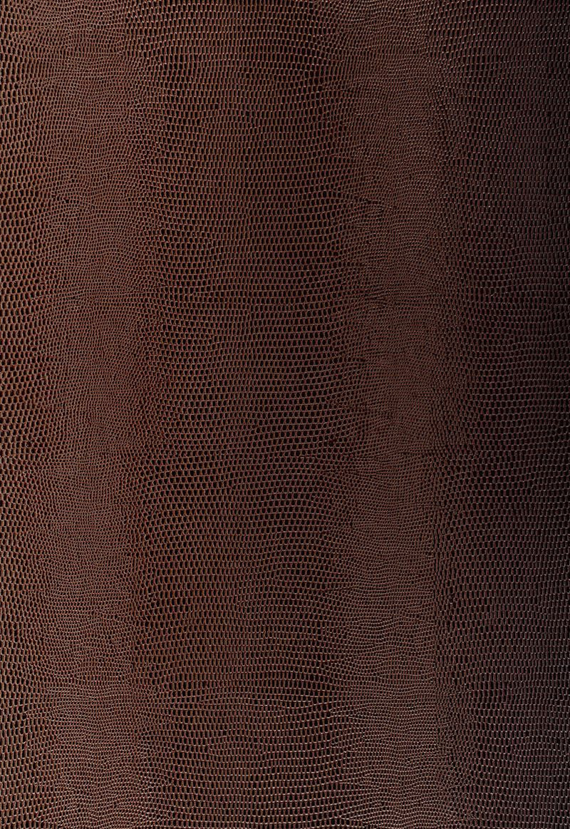 FSchumacher Wallpaper 5005840 Lizard Java