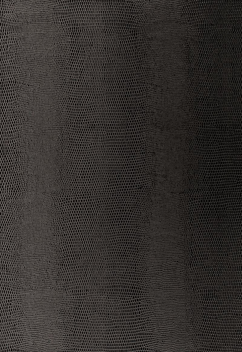 FSchumacher Wallpaper 5005841 Lizard Carbon