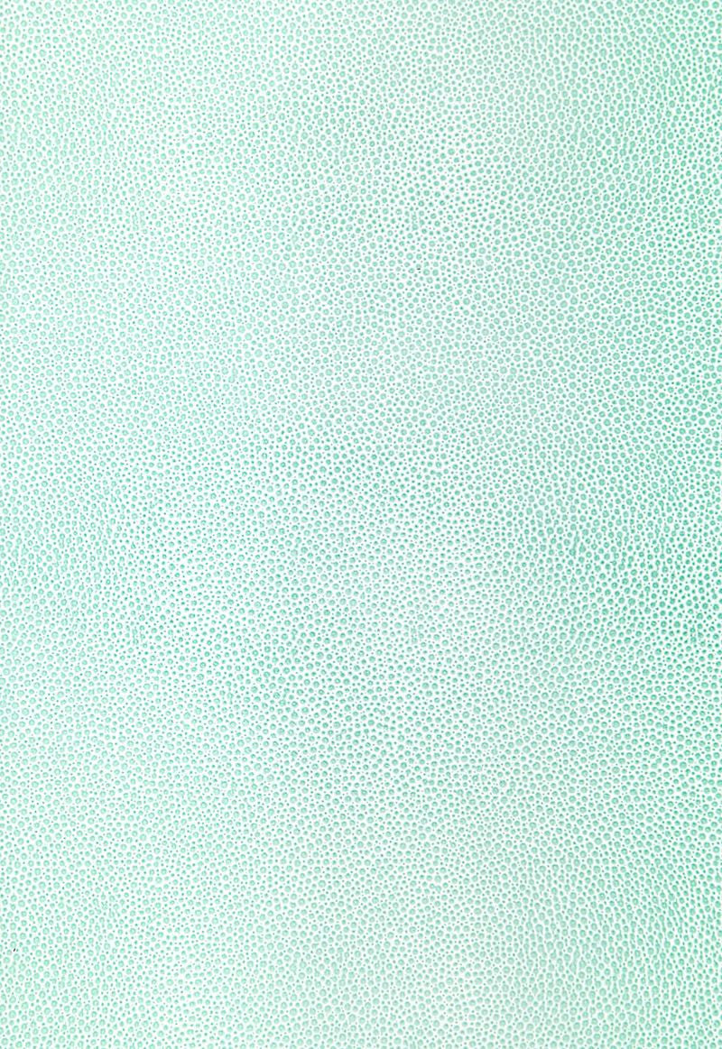 FSchumacher Wallpaper 5005851 Shagreen Caribbean