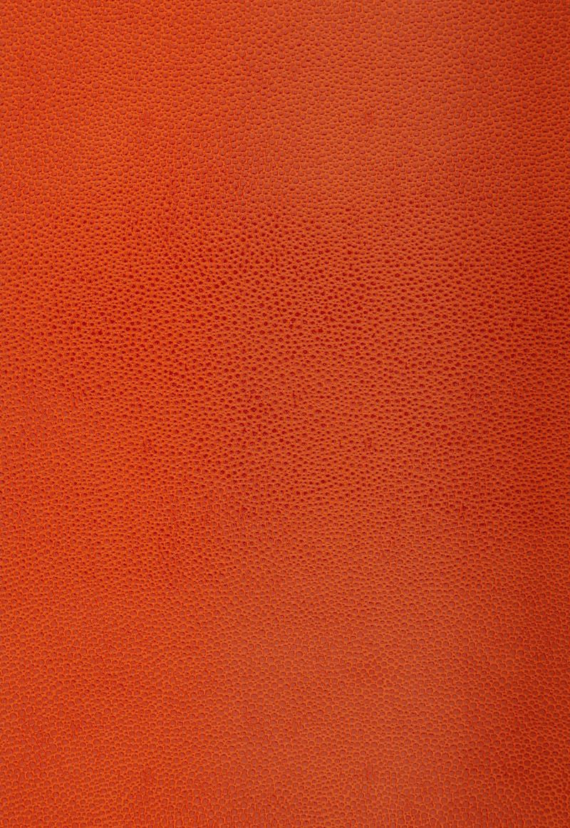 FSchumacher Wallpaper 5005852 Shagreen Chinese Orange