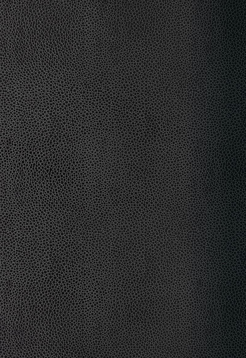 FSchumacher Wallpaper 5005854 Shagreen Carbon