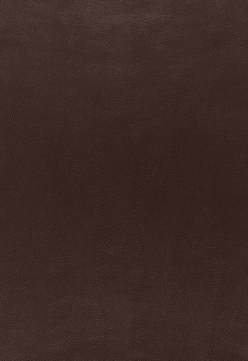 FSchumacher Wallpaper 5006211 Canyon Leather Java