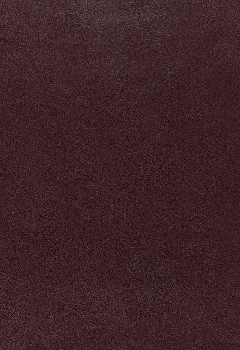 FSchumacher Wallpaper 5006213 Canyon Leather Port