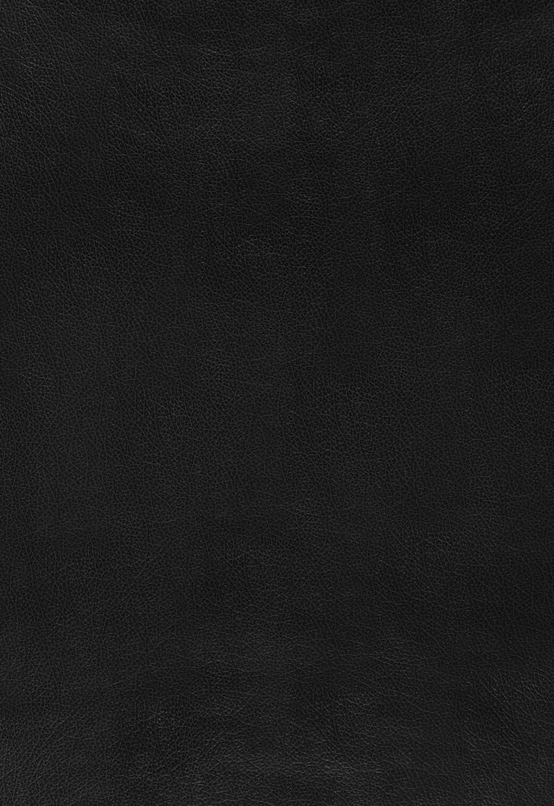 FSchumacher Wallpaper 5006217 Canyon Leather Raven
