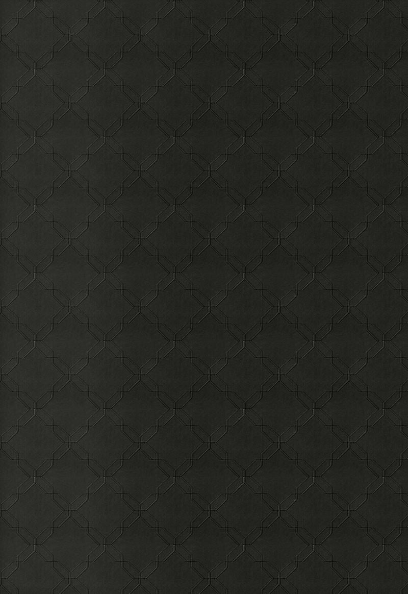 FSchumacher Wallpaper 5006301 Wyoming Sidewall Raven