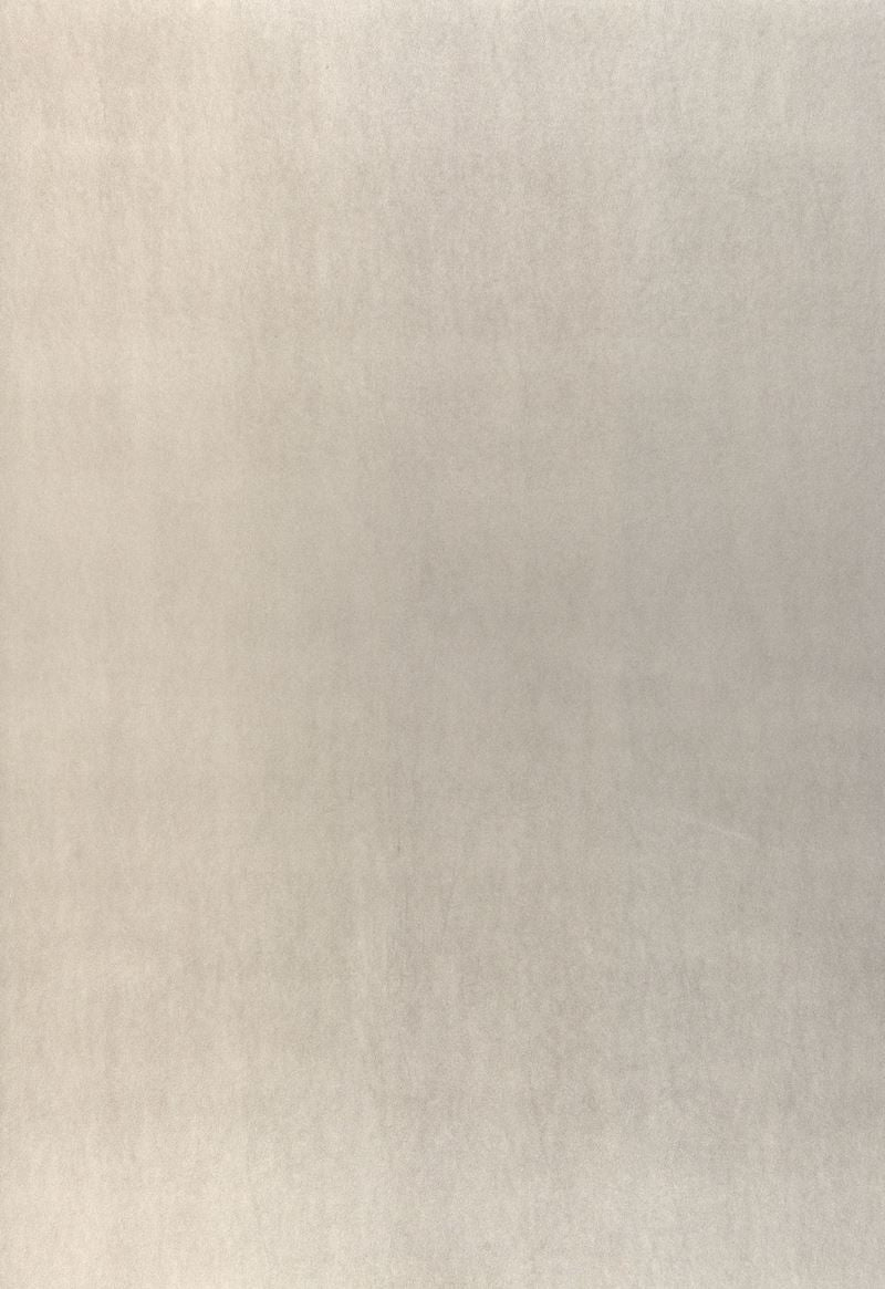FSchumacher Wallpaper 5006310 Jackson Sidewall Silver