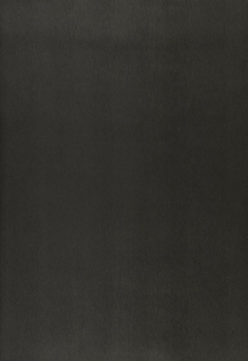 FSchumacher Wallpaper 5006313 Jackson Sidewall Raven