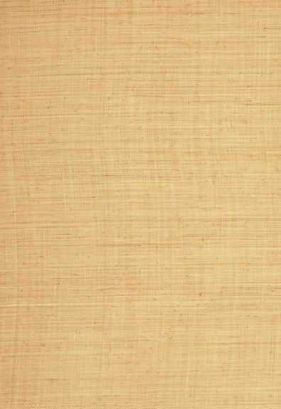 FSchumacher Wallpaper 528940 Fidenza Ground Natural