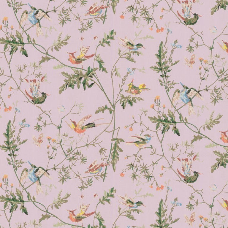 Cole & Son Wallpaper 62/1003.CS Hummingbirds Lilac