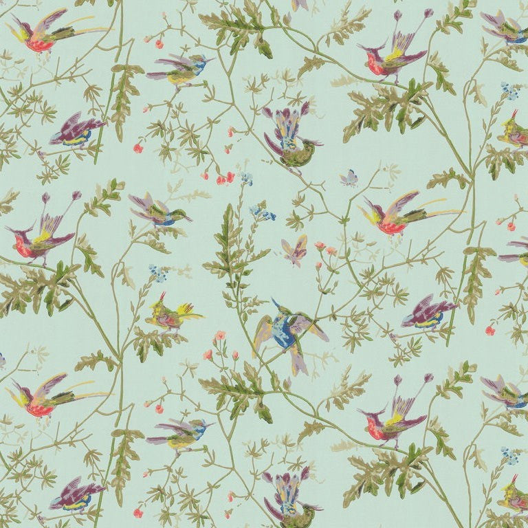 Cole & Son Wallpaper 62/1004.CS Hummingbirds Ruban