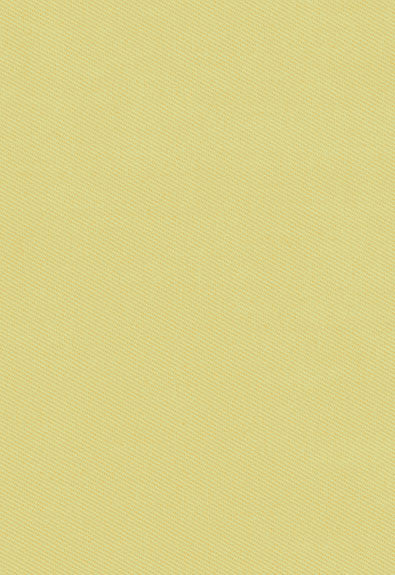 FSchumacher Fabric 62427 Valley Twill Leaf