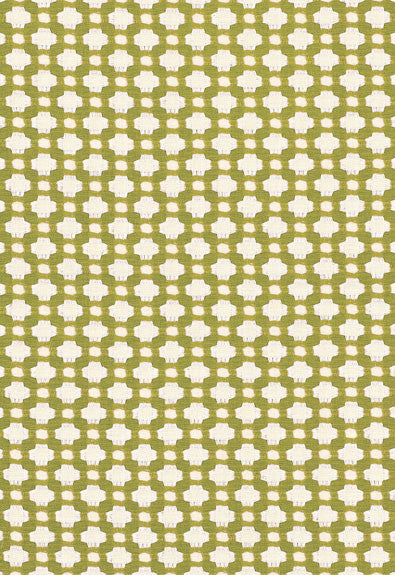 FSchumacher Fabric 62614 Betwixt Grass, Ivory