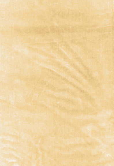 FSchumacher Fabric 62730 Venetian Silk Velvet Champagne