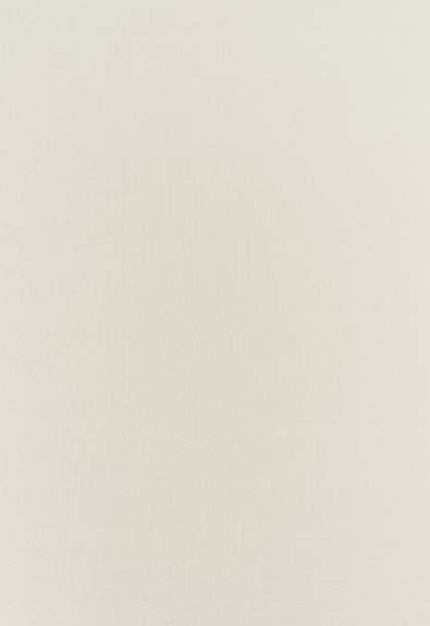 FSchumacher Fabric 63812 Botticelli Silk Taffeta Bone