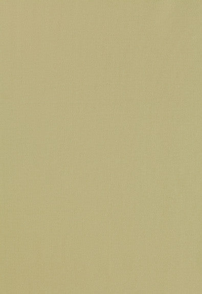 FSchumacher Fabric 63962 Giordano Taffeta Celery