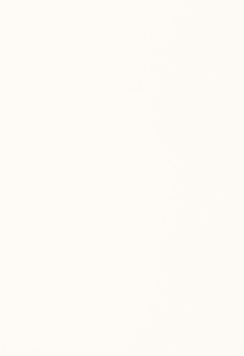 FSchumacher Fabric 64374 Isolde Cotton Weave Winter White