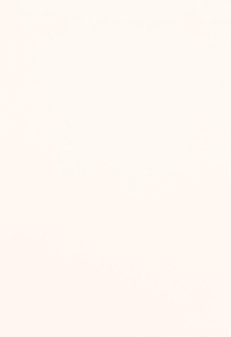 FSchumacher Fabric 64509 Tristan Cotton Weave Ivory