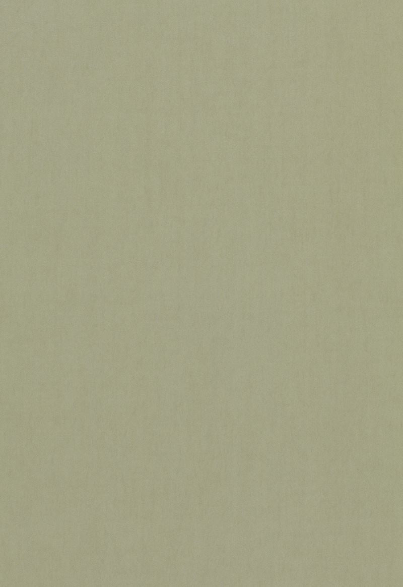 FSchumacher Fabric 64517 Tristan Cotton Weave Reseda