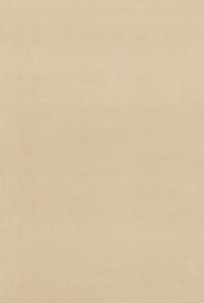 FSchumacher Fabric 64529 Gainsborough Velvet Bisque