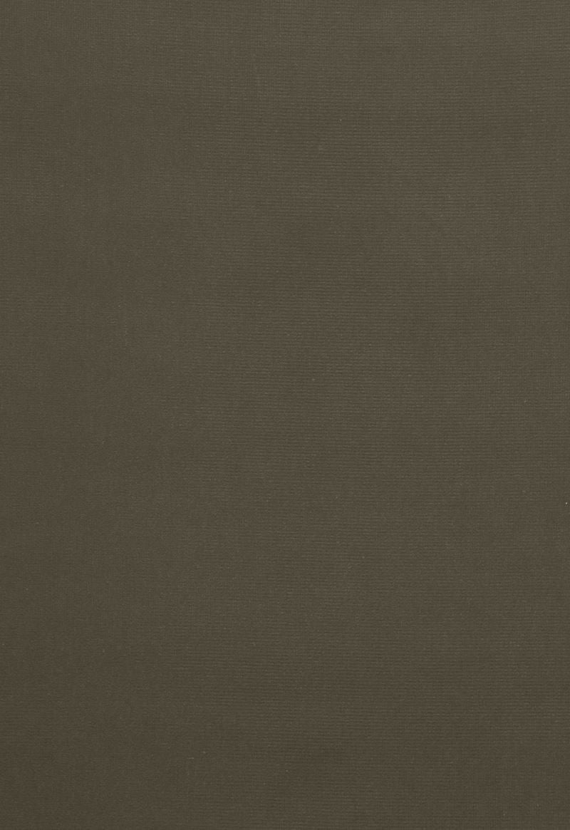 FSchumacher Fabric 64553 Gainsborough Velvet Thyme
