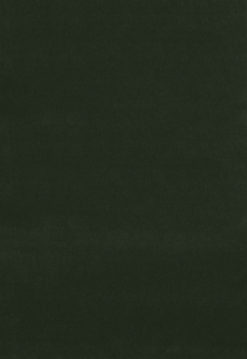 FSchumacher Fabric 64557 Gainsborough Velvet Boxwood