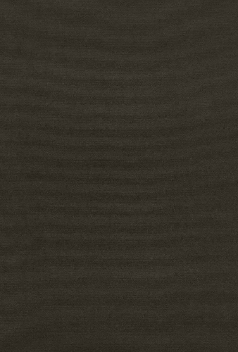 FSchumacher Fabric 64558 Gainsborough Velvet Balsam