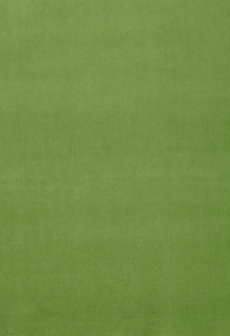 FSchumacher Fabric 64576 Gainsborough Velvet Grass