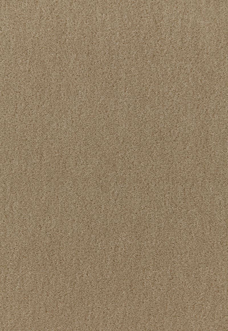 FSchumacher Fabric 64887 San Carlo Mohair Velvet Sage