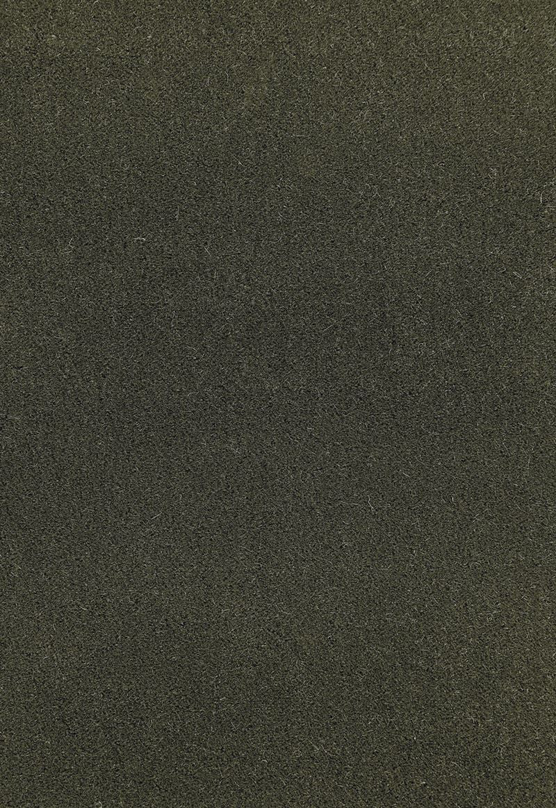 FSchumacher Fabric 64893 San Carlo Mohair Velvet Balsam