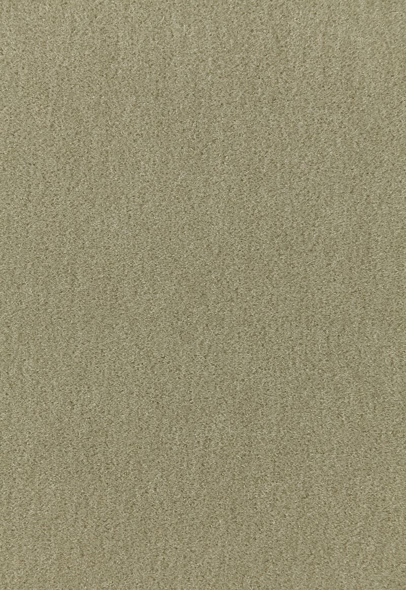 FSchumacher Fabric 64931 Palermo Mohair Velvet Lichen