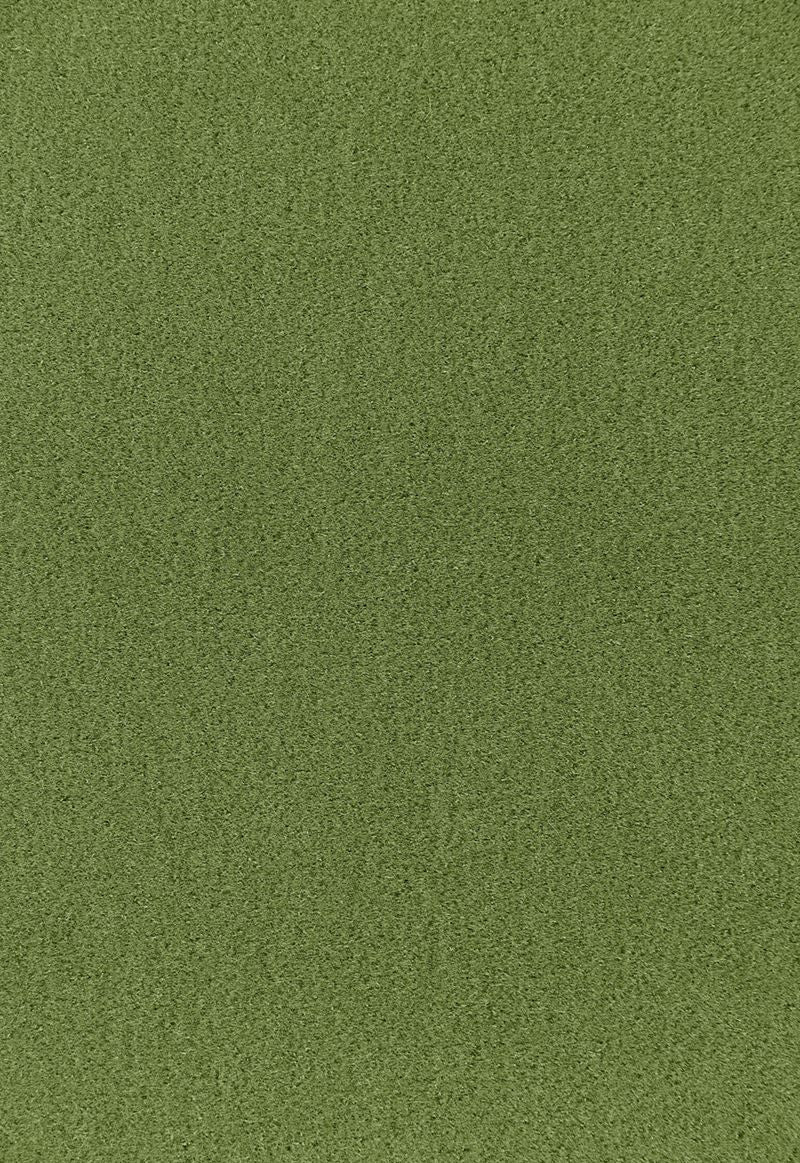 FSchumacher Fabric 64937 Palermo Mohair Velvet Grass