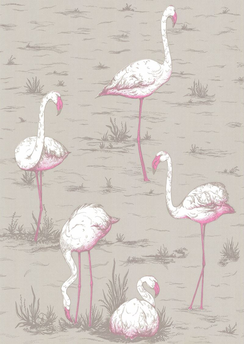Cole & Son Wallpaper 66/6042.CS Flamingos Grey