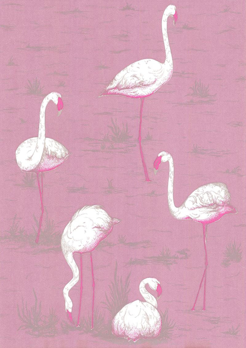 Cole & Son Wallpaper 66/6043.CS Flamingos Mauve