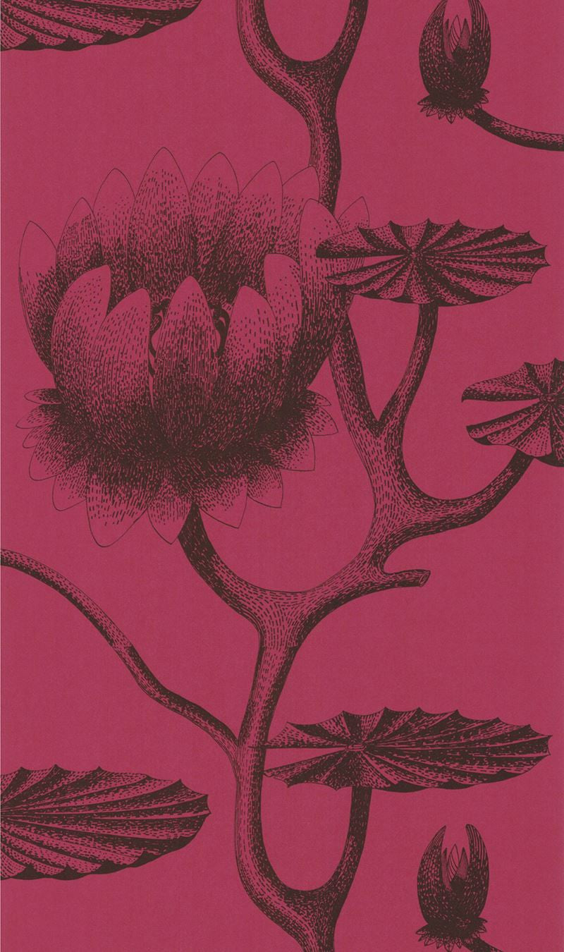 Cole & Son Wallpaper 69/3111.CS Lily Onyx/Merlot