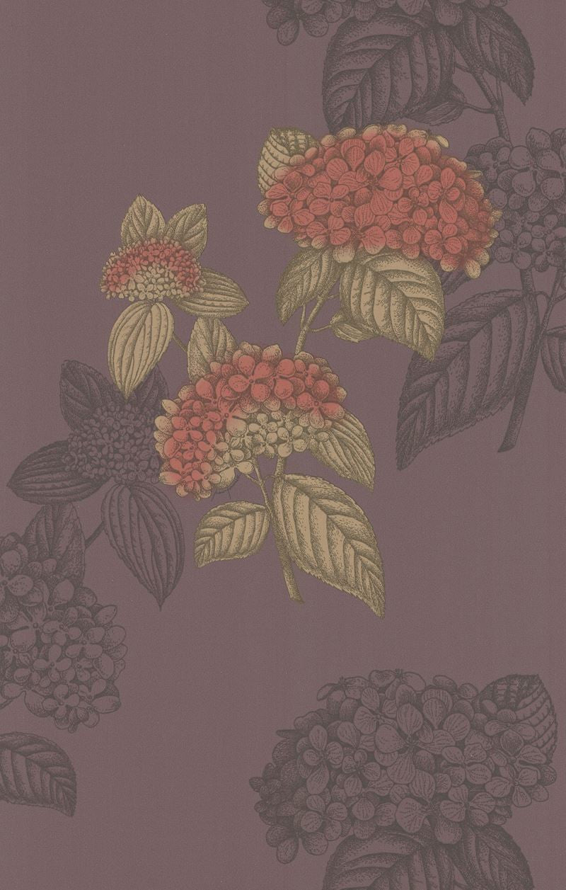 Cole & Son Wallpaper 77/10036.CS Ortensia Grape