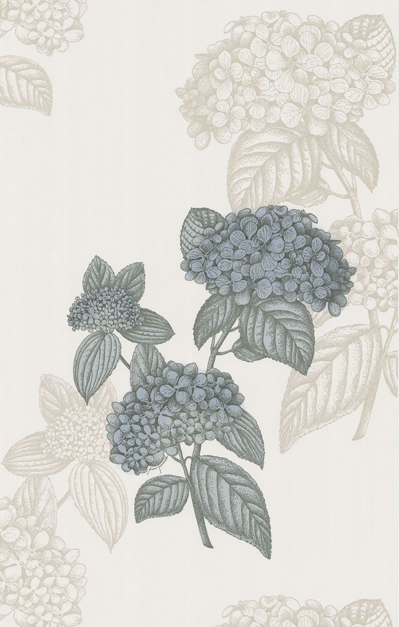 Cole & Son Wallpaper 77/10037.CS Ortensia Grey