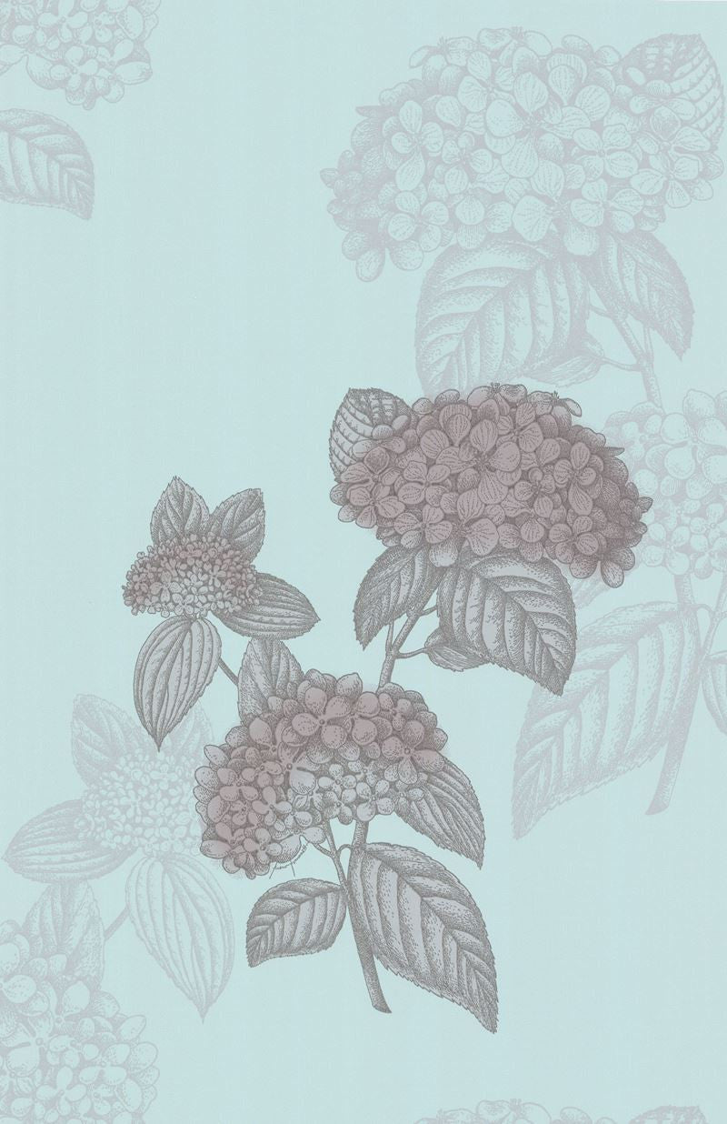 Cole & Son Wallpaper 77/10038.CS Ortensia Blue