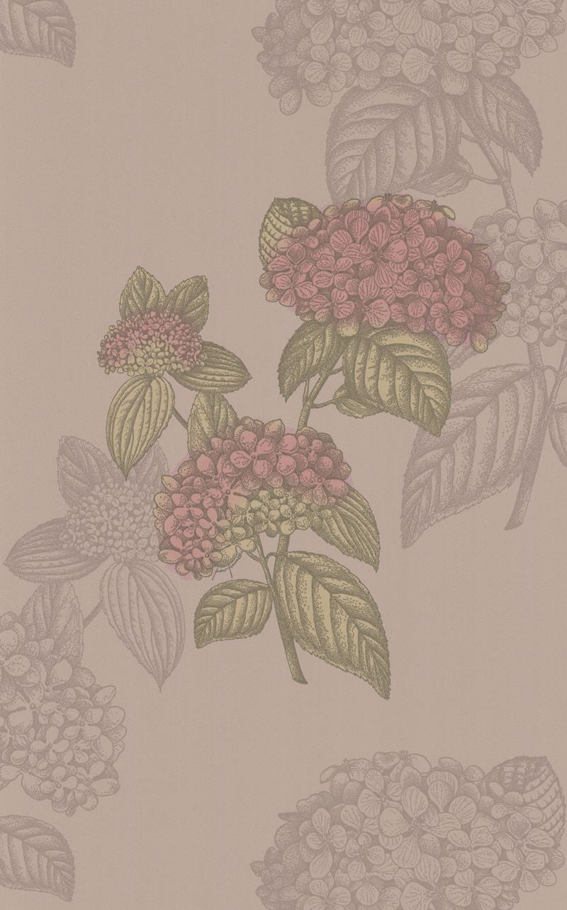 Cole & Son Wallpaper 77/10039.CS Ortensia Tan