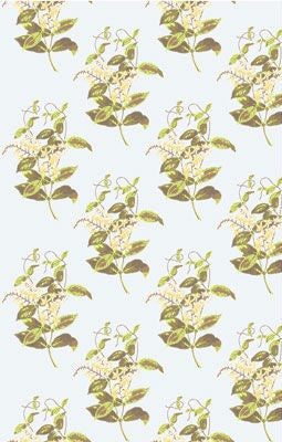 Cole & Son Wallpaper 81/6023.CS Madras Sky