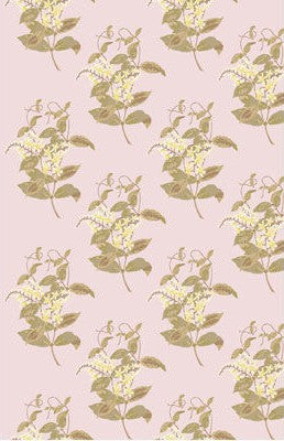 Cole & Son Wallpaper 81/6025.CS Madras Dusty Pink