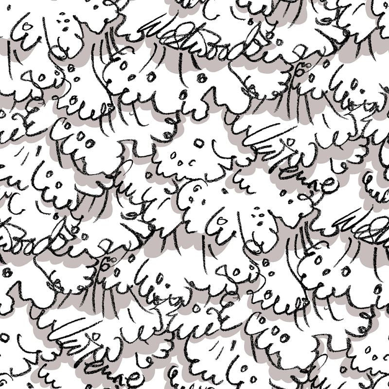Cole & Son Wallpaper 86/1001.CS Vivienne's Lace Beg/Blk