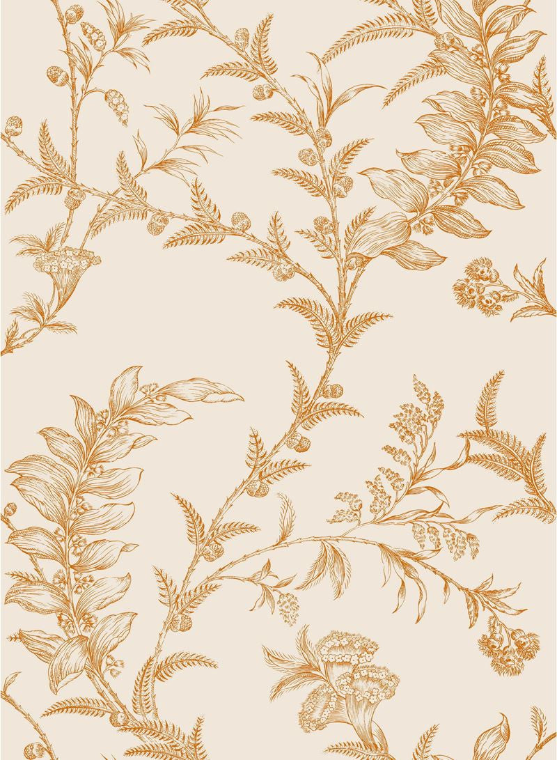 Cole & Son Wallpaper 88/1003.CS Ludlow Peach