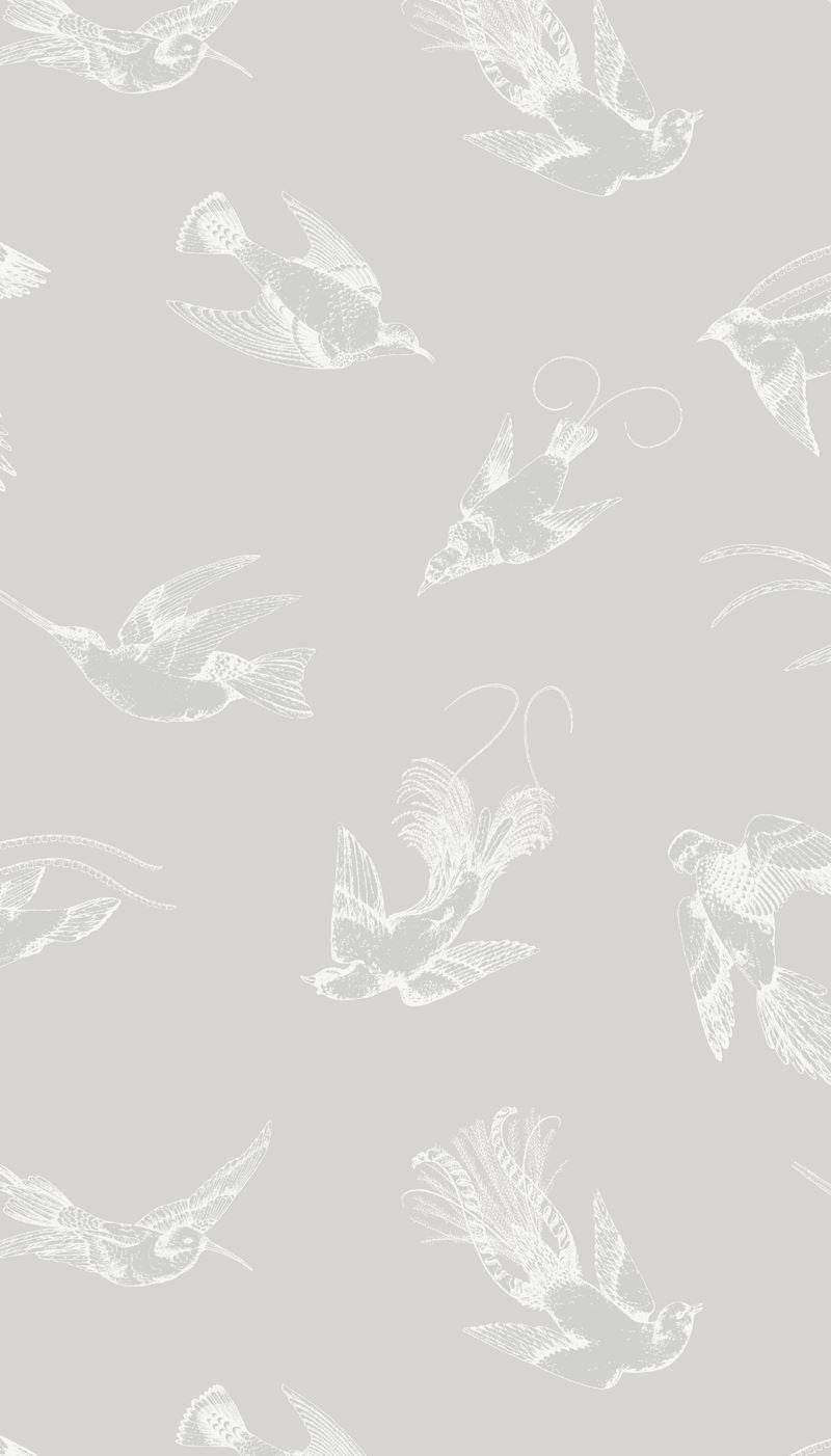 Cole & Son Wallpaper 89/1002.CS Tropical Birds Dove