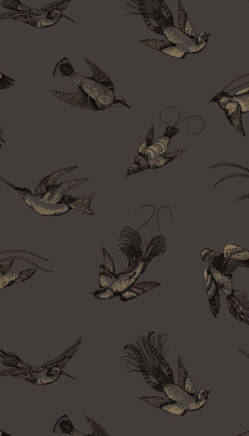 Cole & Son Wallpaper 89/1004.CS Tropical Birds Brown