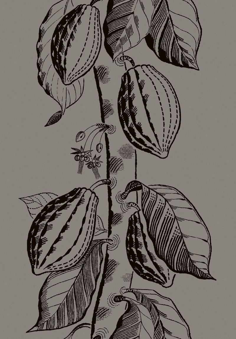 Cole & Son Wallpaper 89/11046.CS Cocoa Tan