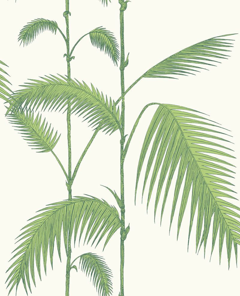 Cole & Son Wallpaper 95/1009.CS Palm Green/White